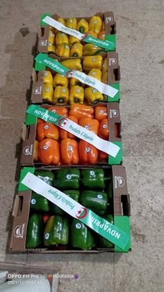 several boxes filled with assorted veggies on top of a cement floor next to each other