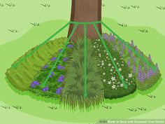 a drawing of a tree in the middle of a field with purple flowers around it