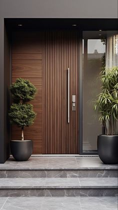 two potted plants sit on the steps in front of a wooden door with glass panels