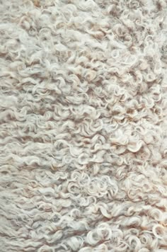 the wool is very thick and white in color