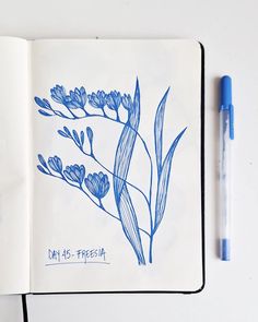 Days 44 to 47 - Still having so much fun! * I'm doing 100 days of floral linework. Each day, I will draw a different flower using a gel pen so I can get better at drawing different and unexpected flowers. If you want to follow me along and also draw, paint, or make a collage of the same flowers, stay tuned as I will be sharing a list with new flowers each 10 days. #100dayproject #100dayofflorallinework #florallinework #flowerdrawing #flowersketch Art With Sketch Pens, Pen Drawing Flower, Floral Linework, Gel Pen Drawings, Get Better At Drawing, Drawing Plants, Doodle Floral, Doodle Art Flowers, New Flowers