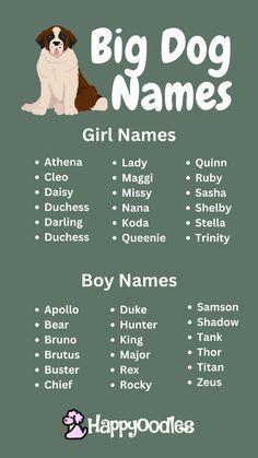 the big dog names for girls and boys are shown in this graphic style, which includes two