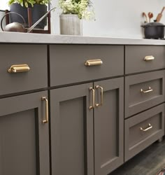 a kitchen with gray cabinets and gold handles