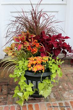 a planter filled with lots of different types of flowers next to a white door