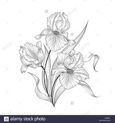 black and white drawing of flowers