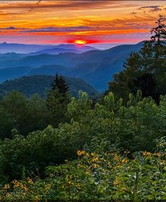 the sun is setting in the mountains with trees and flowers on the foreground,