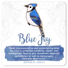 a blue jay pin with an inspirational quote