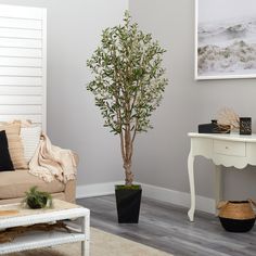 a living room with a couch, coffee table and potted tree in the corner