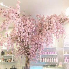 a pink flowered tree is in the middle of a counter top with coffee cups on it