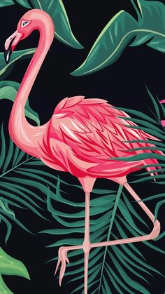 a pink flamingo standing in front of green leaves on a black background with palm trees