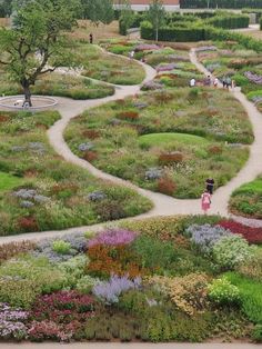 people are walking through a garden with many different types of flowers and plants on the ground