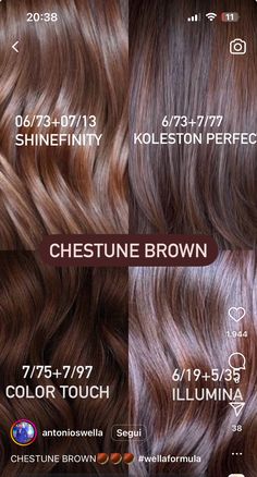 Igora Hair Color, Brown Hair Color Chart, Chestnut Brown Hair, Hair Foils, Colour Touch Wella, Wella Hair Color, Strawberry Blonde Hair Color, Redken Hair Products, Hair Color Caramel