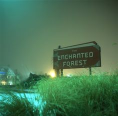 the illuminated forest sign is in front of some tall green grass and lights at night