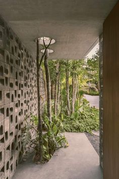 the walkway is lined with cement blocks and surrounded by greenery, trees and shrubs