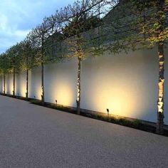 a row of trees next to a white wall with lights on it and in between