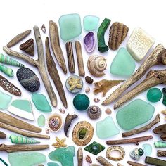 various sea glass and driftwood arranged in a circle on a white surface with the center surrounded by shells