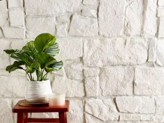 there is a potted plant sitting on a small table next to a brick wall