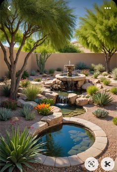 a small pond surrounded by rocks and plants