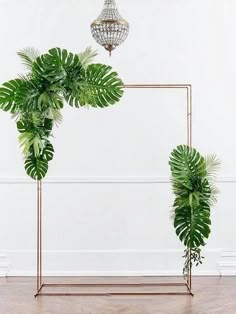 there is a plant on the floor in front of a white wall with a metal frame