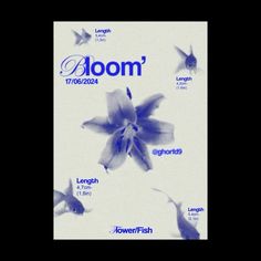 an advertisement for bloom's fish products in blue and white with the names below it