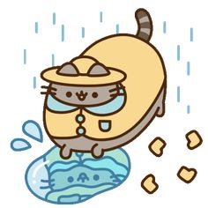 an image of a cat in the rain