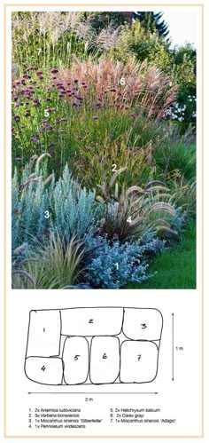 an image of a garden with plants and flowers in it, including grass growing on the ground