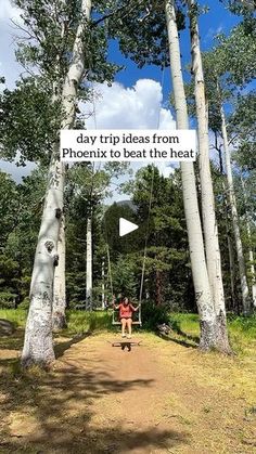 a person riding a skateboard down a dirt road next to tall trees and a sign that says, day trip ideas from phoenix to beat the heat