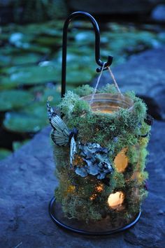 a jar filled with moss sitting on top of a rock