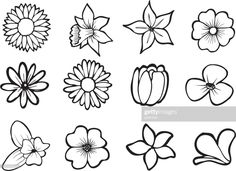 the different types of flowers are shown in black and white