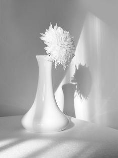 a white vase with a flower in it