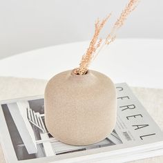 a vase sitting on top of a magazine next to some dried plants in the middle