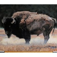 a painting of a bison standing in a field