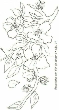 a drawing of flowers on a white background