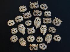 an assortment of owl figurines sitting on top of a black table next to each other