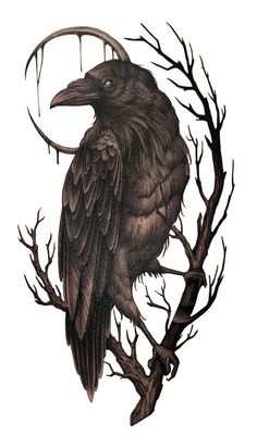 a drawing of a crow sitting on top of a tree branch with a ring in it's beak