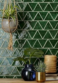 some plants are sitting on a shelf in front of a green wall with geometric tiles