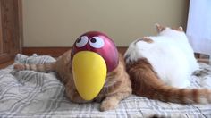 an orange and white cat laying on top of a bed next to a bird shaped egg