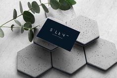 four hexagonal coasters with the word slew on them and a plant