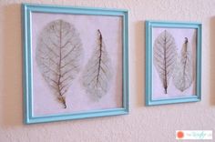 three framed leaf prints on the wall in a blue frame, one with white and brown leaves