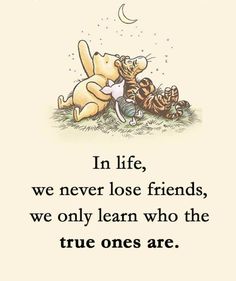 winnie the pooh quote with an image of two cats and a cat on it