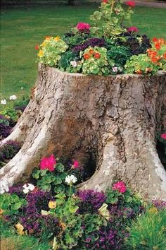 a large tree stump with flowers growing out of it's sides in the grass