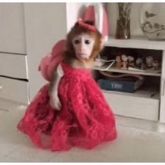 a monkey dressed up in a pink dress and holding a white object with red hair