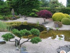 a small pond surrounded by trees and rocks in a garden area with gravel, stones, plants, and water