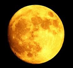 the full yellow moon is seen in the dark night sky, with only one cloud visible