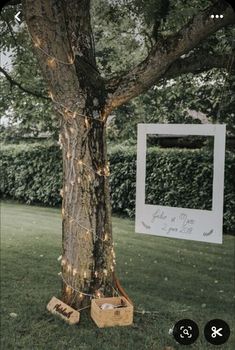 a tree with some boxes tied to it