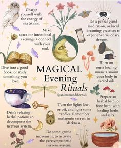 Nature Affirmations, Hearth Magic, Witch Practice, Hearth Witch, Pagan Practices, Planting Plants, Witch Things, Evening Rituals, Relaxing Candles