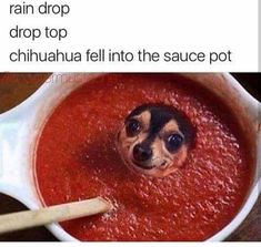 a dog sticking its head in a bowl of red sauce with the caption that reads, when you're on train drop drop drop drop drop drop top chihuahua fell into the sauce