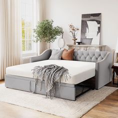 a living room scene with focus on the daybed