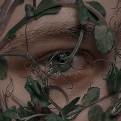 a close up of a person's eye surrounded by vines and leaves on the ground