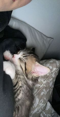 a cat laying on top of a bed next to a person wearing a black jacket